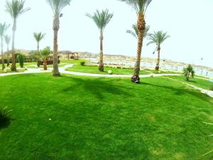 sharm el sheikh