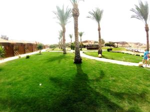 sharm el sheikh