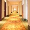 greentree inn beijing daxing international airport yufa town express hotel