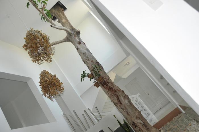 date and dine resort