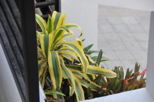 date and dine resort