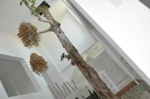 date and dine resort