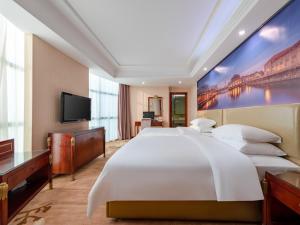 vienna hotel shenzhen songgang shajiang road