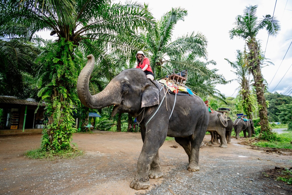 phang nga