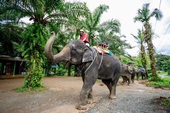 phang nga