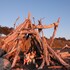 fireside inn on moonstone beach