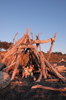fireside inn on moonstone beach