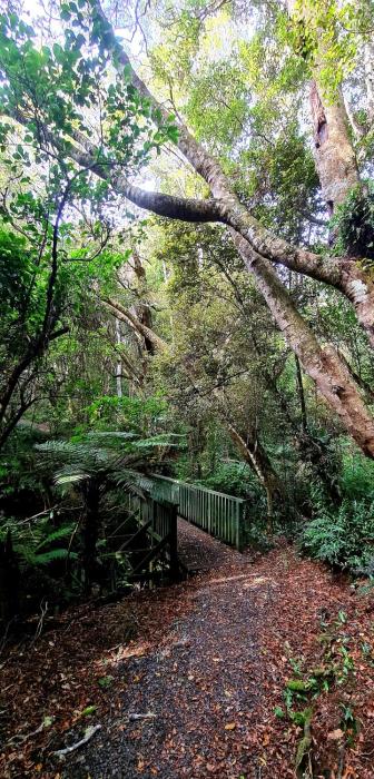 kaka point spa accommodation catlins