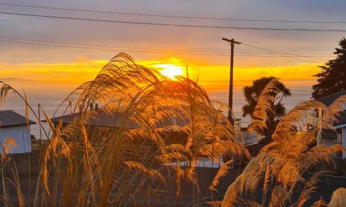 kaka point spa accommodation catlins