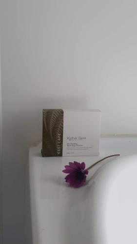 kaka point spa accommodation catlins