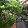 rainbow guest house tiruvannamalai