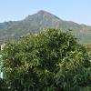 rainbow guest house tiruvannamalai