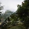 rainbow guest house tiruvannamalai