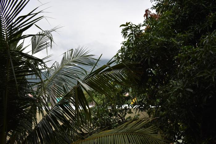 rainbow guest house tiruvannamalai