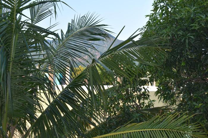 tiruvannamalai