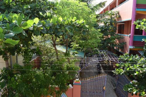 rainbow guest house tiruvannamalai