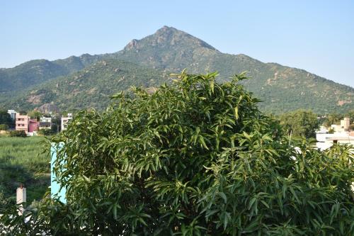 rainbow guest house tiruvannamalai