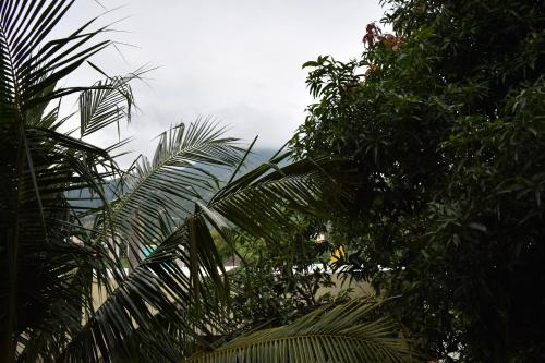 rainbow guest house tiruvannamalai