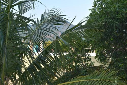 tiruvannamalai