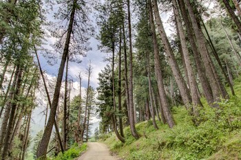 pahalgam