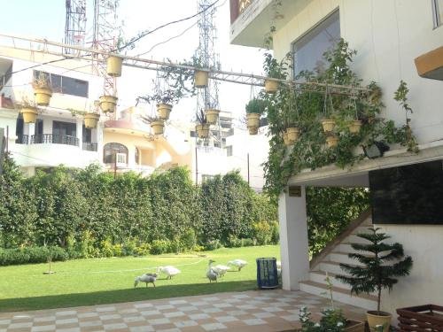 galleria hotel ajmer