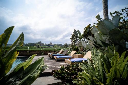 padi bali eco villas