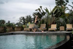 padi bali eco villas