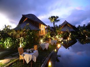 padi bali eco villas