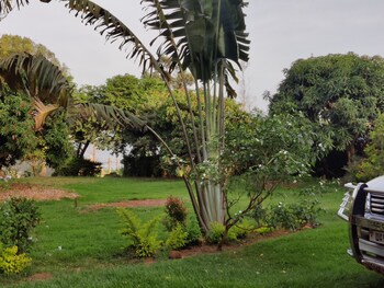 kampala
