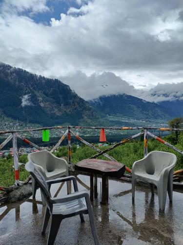 nomadic den manali
