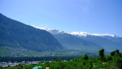 nomadic den manali