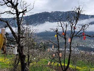 nomadic den manali
