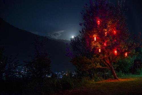 Nomadic Den Manali,Haripur,2 star