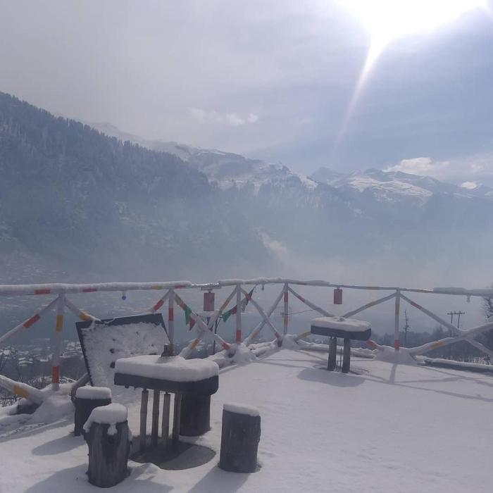 nomadic den manali