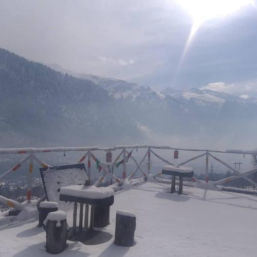 nomadic den manali