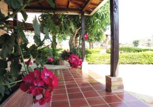 hotel cristo rey campestre