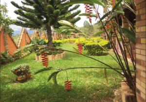 hotel cristo rey campestre