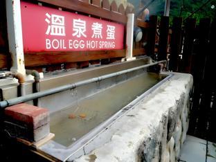 toyugi hot spring resorts and spa