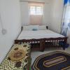 flamingo guesthouse