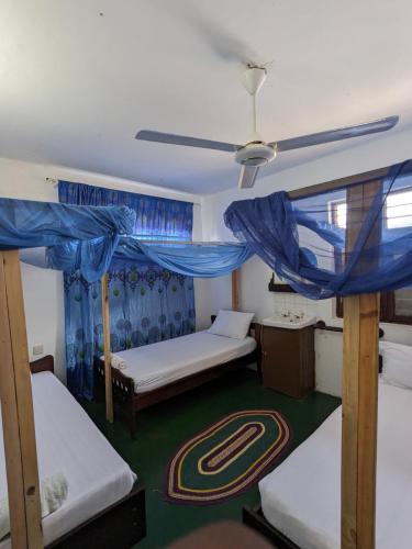 flamingo guesthouse