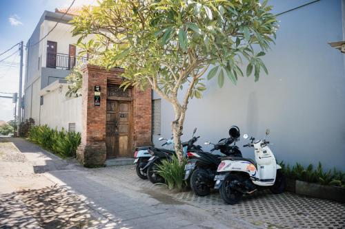bali