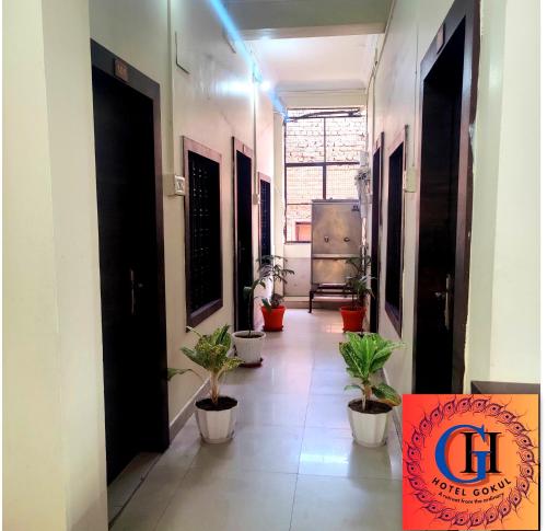 hotel gokul
