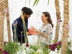 ibis casablanca nearshore