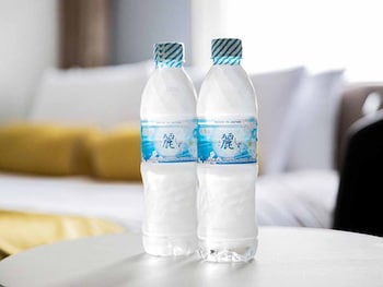 the rise osaka kitashinchi