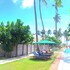blue whale beach boutique resort