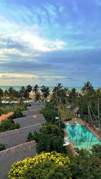 blue whale beach boutique resort