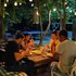 blue whale beach boutique resort