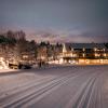 minotel gruener wald