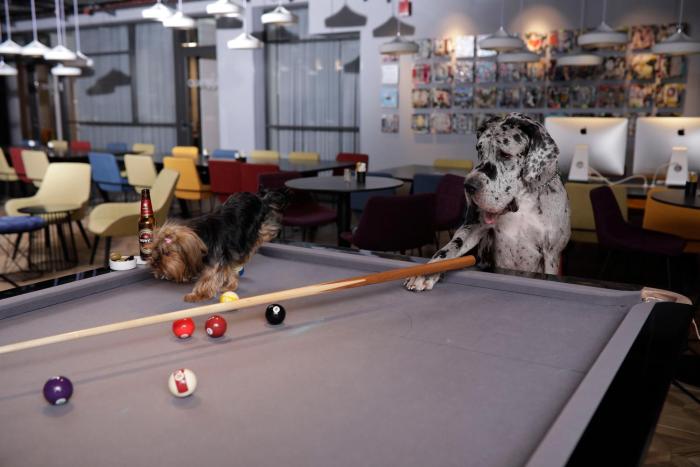 link hotel and hub by dan hotels