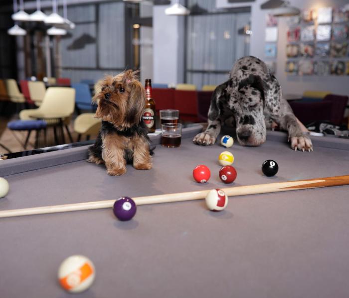 link hotel and hub by dan hotels